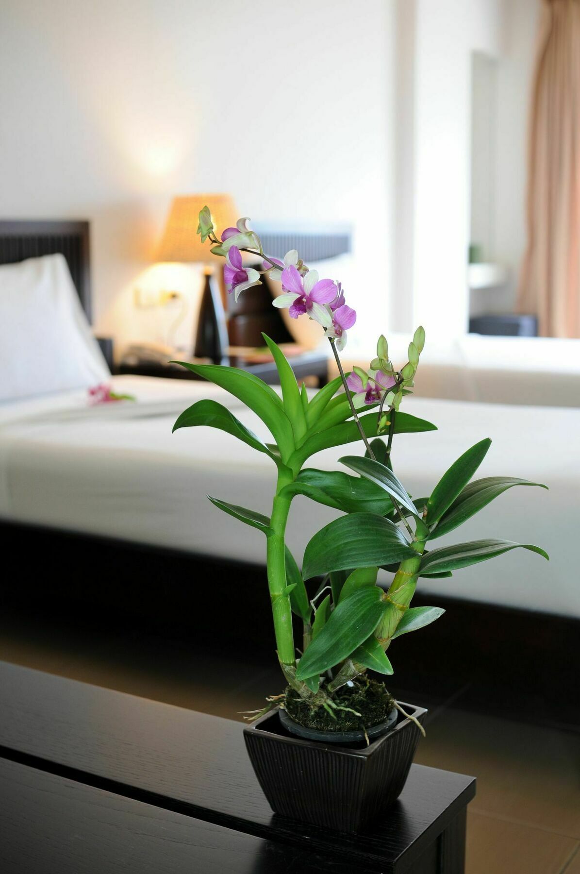 Kasemsarn Hotel Chanthaburi Zewnętrze zdjęcie